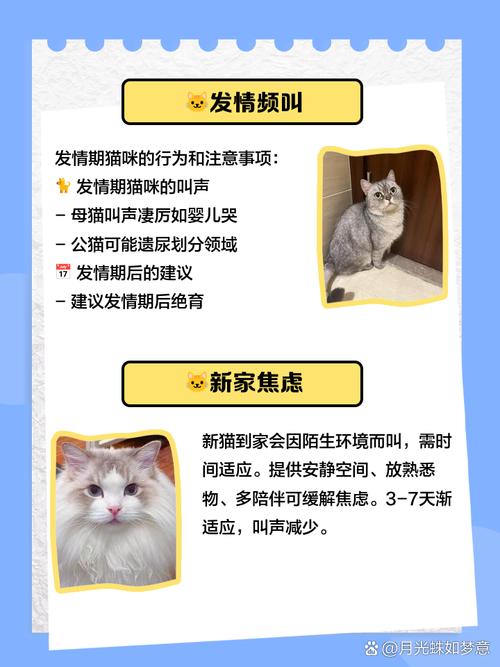 猫咪发出咕噜声,猫咪发出咕噜声并且伸出爪子-第1张图片-后鲨宠物 猫咪发出咕噜声,猫咪发出咕噜声并且伸出爪子-第1张图片-后鲨宠物
