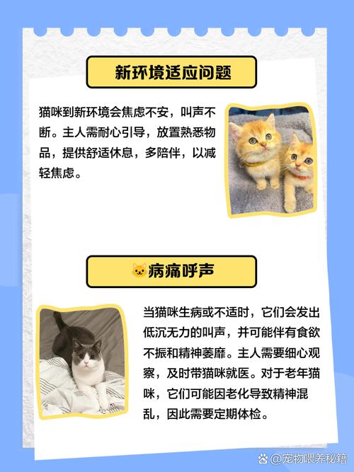 猫咪发出咕噜声,猫咪发出咕噜声并且伸出爪子-第2张图片-后鲨宠物 猫咪发出咕噜声,猫咪发出咕噜声并且伸出爪子-第2张图片-后鲨宠物