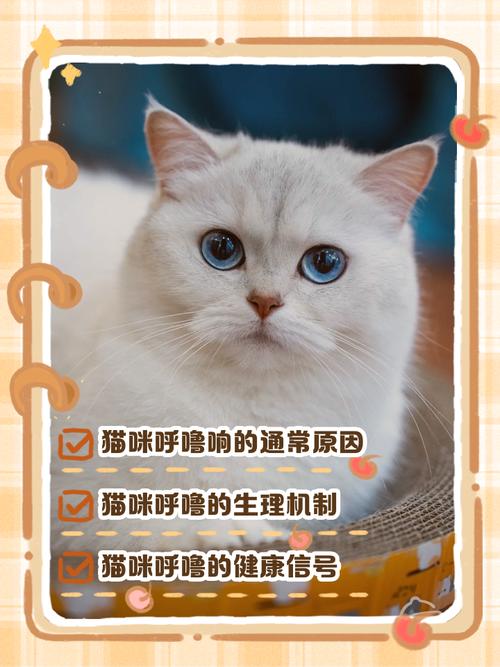 猫咪发出咕噜声,猫咪发出咕噜声并且伸出爪子-第3张图片-后鲨宠物 猫咪发出咕噜声,猫咪发出咕噜声并且伸出爪子-第3张图片-后鲨宠物