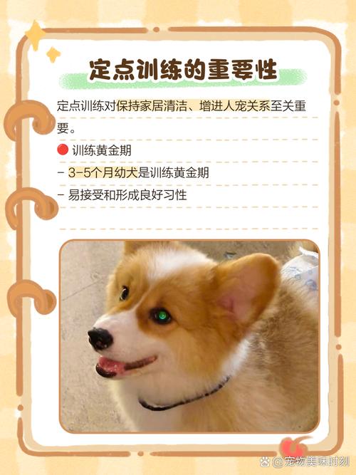 怎么样教狗狗定点大小便,怎么样教狗狗定点大小便的方法-第5张图片-后鲨宠物 怎么样教狗狗定点大小便,怎么样教狗狗定点大小便的方法-第5张图片-后鲨宠物