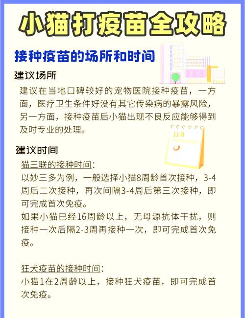 猫咪要打狂犬疫苗吗_猫咪要打狂犬疫苗吗?-第4张图片-后鲨宠物 猫咪要打狂犬疫苗吗_猫咪要打狂犬疫苗吗?-第4张图片-后鲨宠物