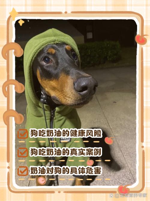 狗狗能吃奶油吗，狗狗能吃奶油吗有营养吗？