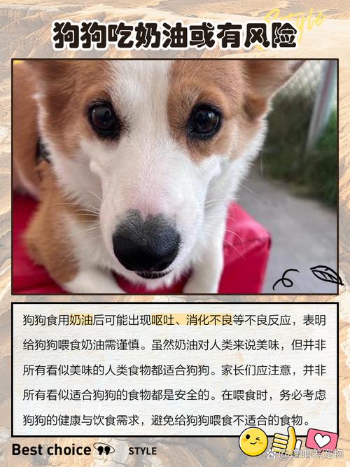 狗狗能吃奶油吗,狗狗能吃奶油吗有营养吗?-第4张图片-后鲨宠物 狗狗能吃奶油吗,狗狗能吃奶油吗有营养吗?-第4张图片-后鲨宠物