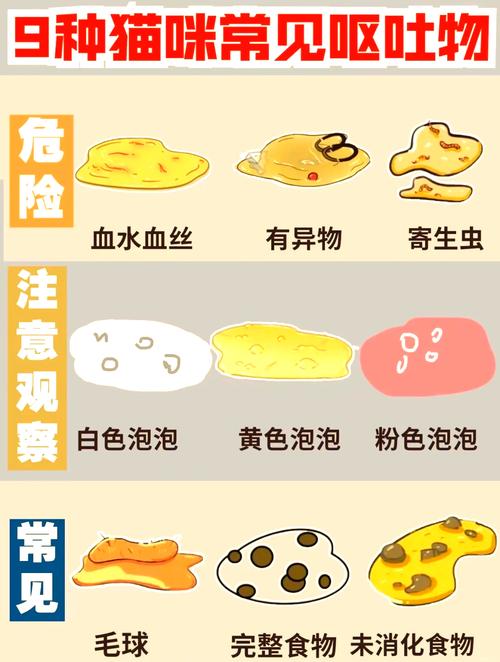 猫咪不吃东西呕吐,猫咪不吃东西呕吐怎么办?-第2张图片-后鲨宠物 猫咪不吃东西呕吐,猫咪不吃东西呕吐怎么办?-第2张图片-后鲨宠物