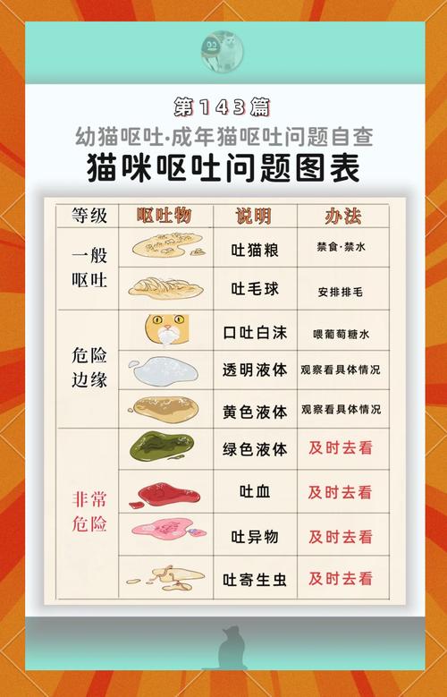 猫咪不吃东西呕吐,猫咪不吃东西呕吐怎么办?-第4张图片-后鲨宠物 猫咪不吃东西呕吐,猫咪不吃东西呕吐怎么办?-第4张图片-后鲨宠物