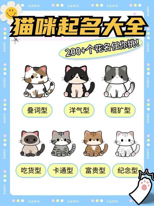 最时髦独特猫咪名字,好听独特的猫咪名字?-第5张图片-后鲨宠物 最时髦独特猫咪名字,好听独特的猫咪名字?-第5张图片-后鲨宠物