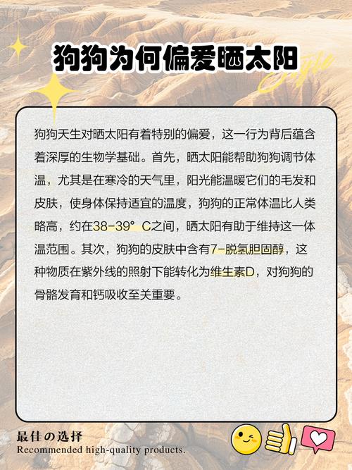 狗狗晒太阳好吗,狗狗晒太阳对身体好吗?-第2张图片-后鲨宠物 狗狗晒太阳好吗,狗狗晒太阳对身体好吗?-第2张图片-后鲨宠物