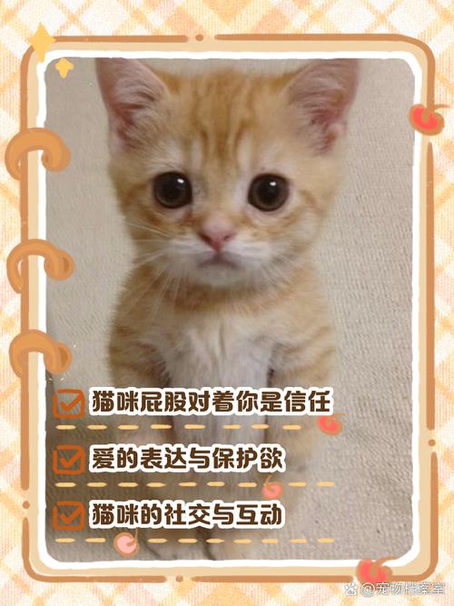 猫猫屁股对着人，猫猫屁股对着人睡觉？