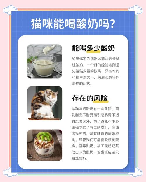 猫猫可以吃酸奶吗,猫能吃酸奶吗 新闻?-第4张图片-后鲨宠物 猫猫可以吃酸奶吗,猫能吃酸奶吗 新闻?-第4张图片-后鲨宠物