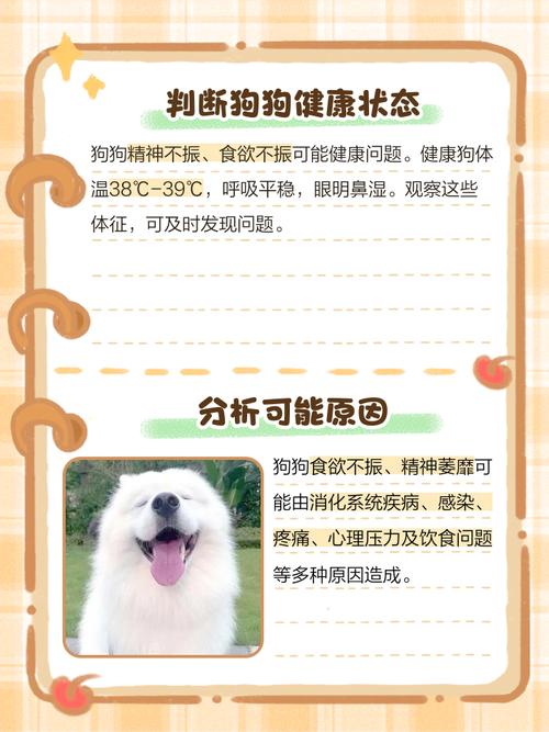 狗狗几天不吃饭怎么办,狗狗几天不吃饭怎么办才能恢复-第2张图片-后鲨宠物 狗狗几天不吃饭怎么办,狗狗几天不吃饭怎么办才能恢复-第2张图片-后鲨宠物