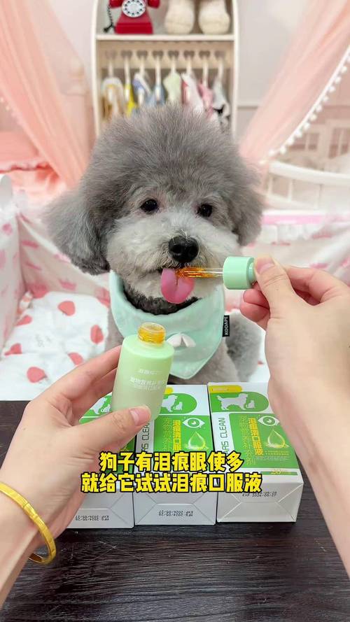 狗狗可以喝婴儿奶粉吗，狗狗可以喝婴儿奶粉吗一天几次？