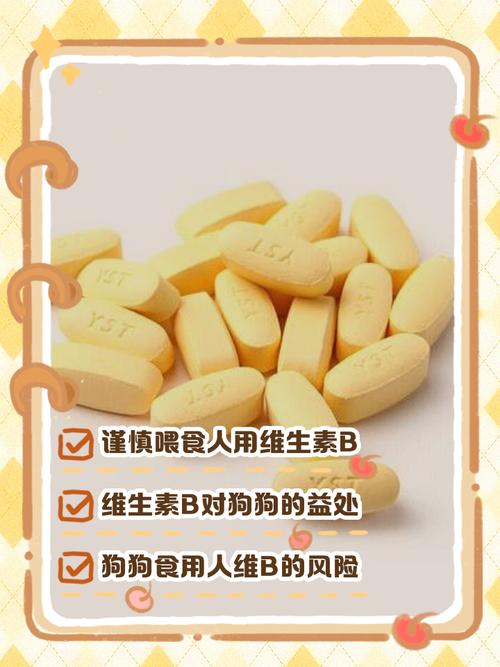 狗狗能吃维生素e吗,狗子能吃维生素e?-第4张图片-后鲨宠物 狗狗能吃维生素e吗,狗子能吃维生素e?-第4张图片-后鲨宠物