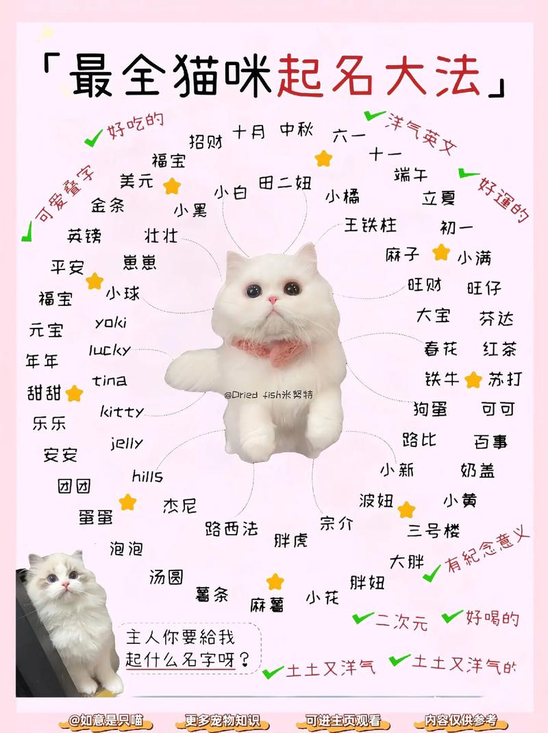 猫猫的英文名字大全,猫咪英文名-第1张图片-后鲨宠物 猫猫的英文名字大全,猫咪英文名-第1张图片-后鲨宠物