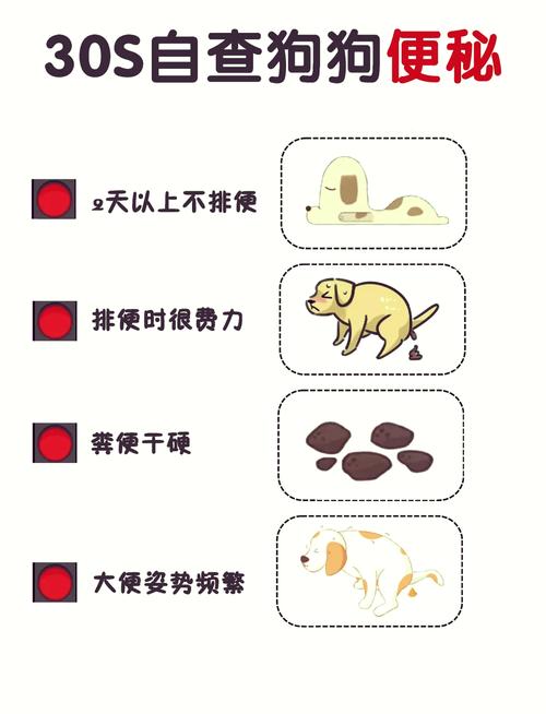 狗狗2天不大便怎么办，狗狗两天不大便了怎么办？