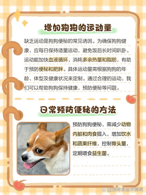 狗狗2天不大便怎么办,狗狗两天不大便了怎么办?-第4张图片-后鲨宠物 狗狗2天不大便怎么办,狗狗两天不大便了怎么办?-第4张图片-后鲨宠物