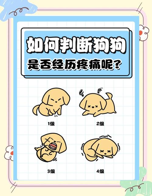 狗狗不舒服的表现有哪些,狗狗不舒服的表现有哪些图?-第2张图片-后鲨宠物 狗狗不舒服的表现有哪些,狗狗不舒服的表现有哪些图?-第2张图片-后鲨宠物