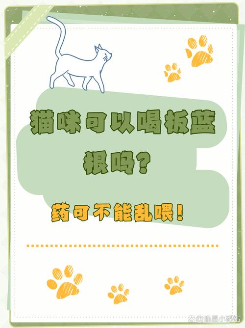 猫咪能喝板蓝根吗_猫咪能喝板蓝根吗一天几次-第4张图片-后鲨宠物 猫咪能喝板蓝根吗_猫咪能喝板蓝根吗一天几次-第4张图片-后鲨宠物