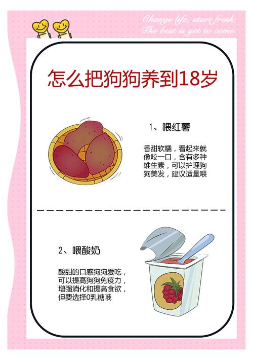 狗狗可以吃淀粉吗_狗能吃淀粉类的吗-第1张图片-后鲨宠物 狗狗可以吃淀粉吗_狗能吃淀粉类的吗-第1张图片-后鲨宠物