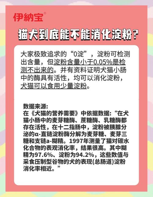 狗狗可以吃淀粉吗_狗能吃淀粉类的吗-第5张图片-后鲨宠物 狗狗可以吃淀粉吗_狗能吃淀粉类的吗-第5张图片-后鲨宠物