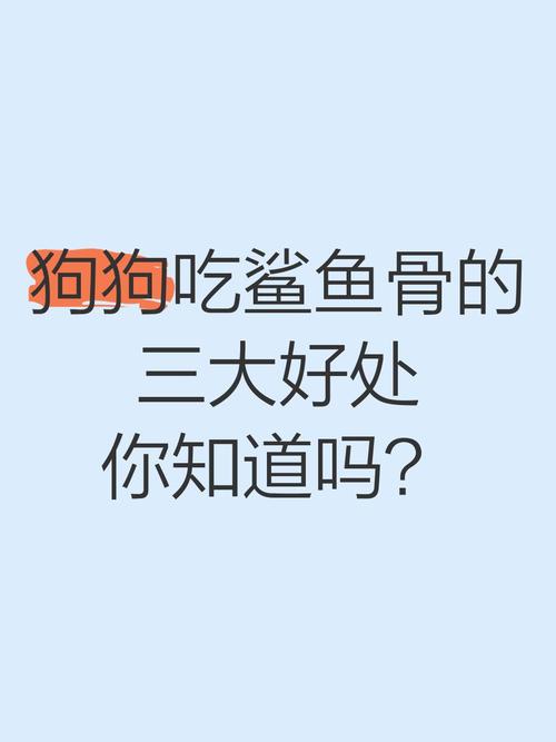 狗狗可以吃鱼骨头吗,狗子能不能吃鱼骨头?-第2张图片-后鲨宠物 狗狗可以吃鱼骨头吗,狗子能不能吃鱼骨头?-第2张图片-后鲨宠物