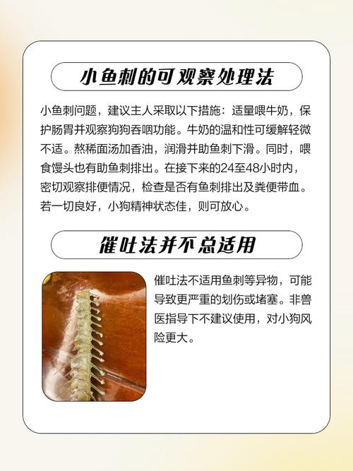 狗狗可以吃鱼骨头吗,狗子能不能吃鱼骨头?-第4张图片-后鲨宠物 狗狗可以吃鱼骨头吗,狗子能不能吃鱼骨头?-第4张图片-后鲨宠物