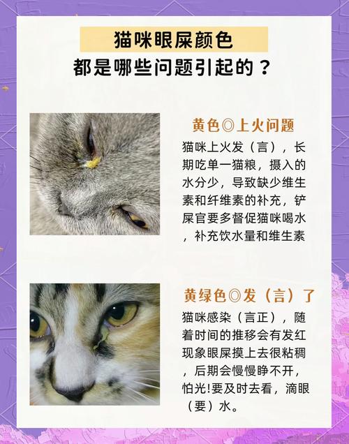 猫咪上火有眼屎怎么办_猫咪上火有眼屎用什么眼药水-第1张图片-后鲨宠物 猫咪上火有眼屎怎么办_猫咪上火有眼屎用什么眼药水-第1张图片-后鲨宠物
