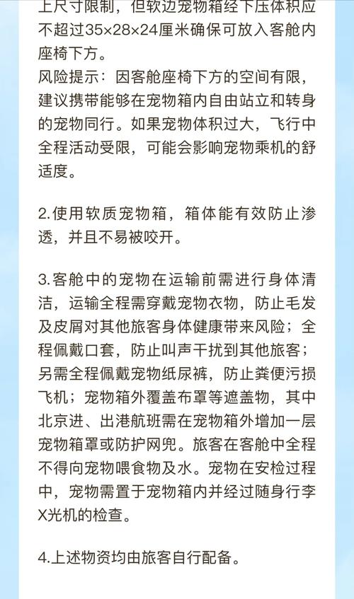 飞机能带猫咪吗,飞机上可以带猫咪么-第5张图片-后鲨宠物 飞机能带猫咪吗,飞机上可以带猫咪么-第5张图片-后鲨宠物