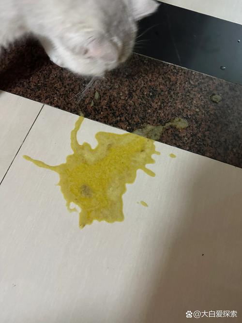 猫咪吃了猫草吐黄水,猫咪吃了猫草吐黄水正常吗-第1张图片-后鲨宠物 猫咪吃了猫草吐黄水,猫咪吃了猫草吐黄水正常吗-第1张图片-后鲨宠物