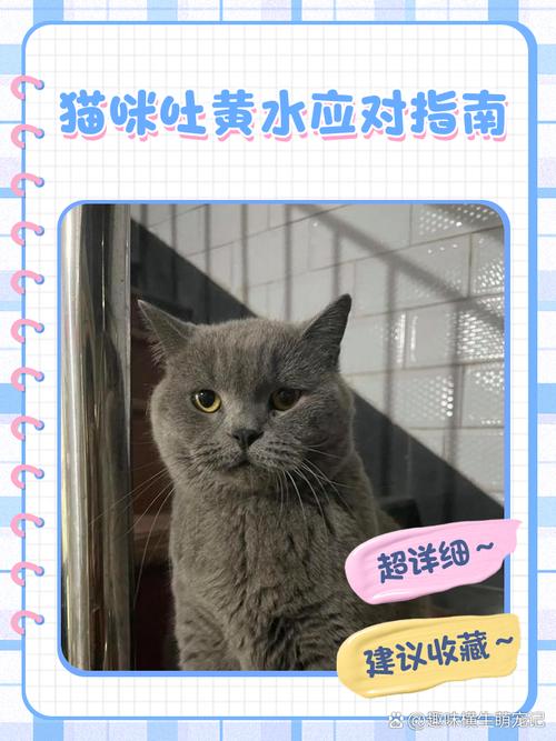 猫咪吃了猫草吐黄水,猫咪吃了猫草吐黄水正常吗-第2张图片-后鲨宠物 猫咪吃了猫草吐黄水,猫咪吃了猫草吐黄水正常吗-第2张图片-后鲨宠物