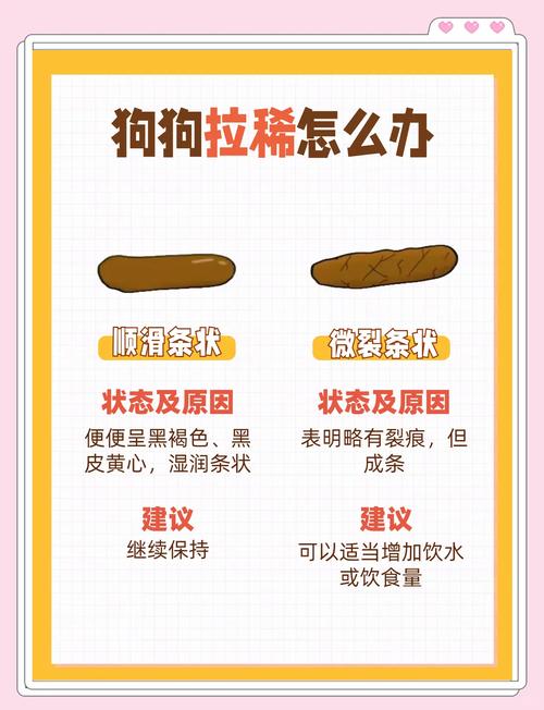 狗狗拉稀不吃东西怎么办，狗狗拉稀不吃东西怎么办吃什么食物？