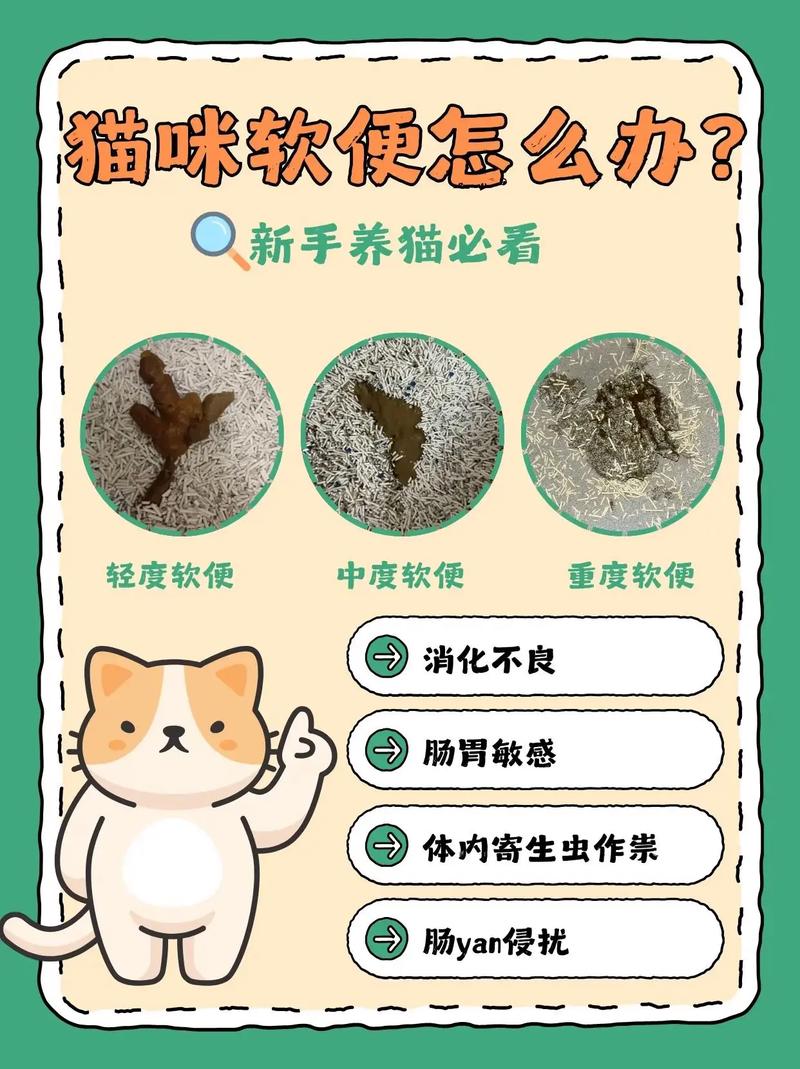 猫咪拉黄色软便_猫咪拉黄色软便带血-第1张图片-后鲨宠物 猫咪拉黄色软便_猫咪拉黄色软便带血-第1张图片-后鲨宠物