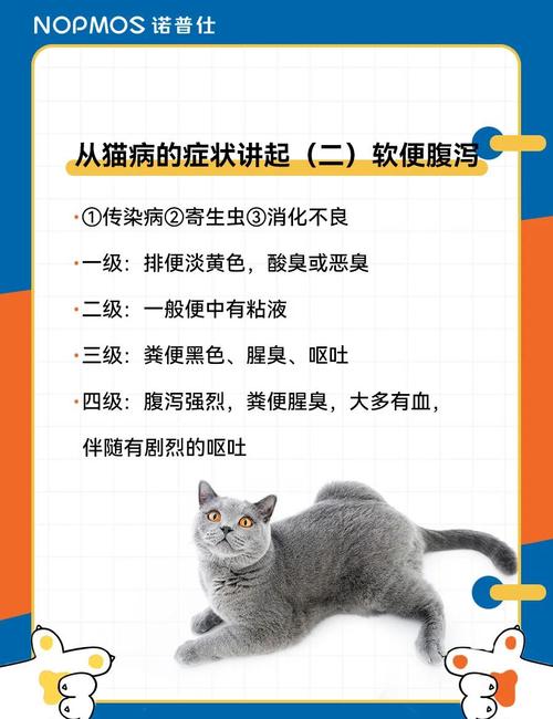 猫咪拉黄色软便_猫咪拉黄色软便带血-第2张图片-后鲨宠物 猫咪拉黄色软便_猫咪拉黄色软便带血-第2张图片-后鲨宠物