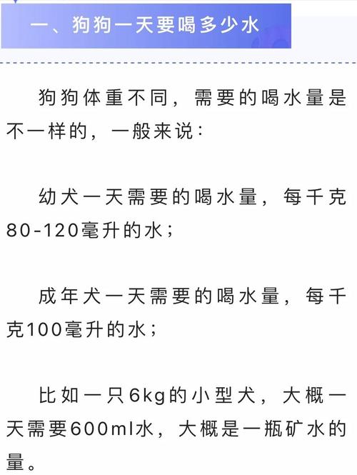 狗狗能喝自来水吗,狗狗能喝自来水吗会死吗-第3张图片-后鲨宠物 狗狗能喝自来水吗,狗狗能喝自来水吗会死吗-第3张图片-后鲨宠物