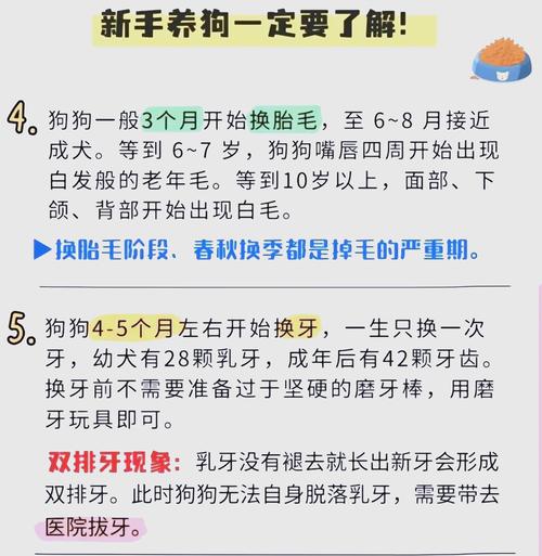 狗狗的体温是多少,狗狗的体温是多少度-第3张图片-后鲨宠物 狗狗的体温是多少,狗狗的体温是多少度-第3张图片-后鲨宠物