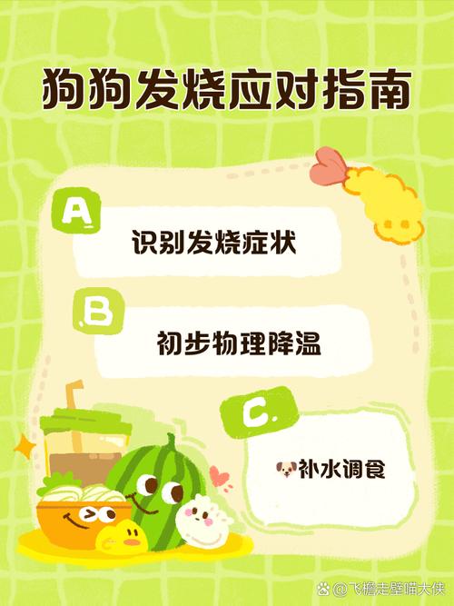 狗狗的体温是多少,狗狗的体温是多少度-第5张图片-后鲨宠物 狗狗的体温是多少,狗狗的体温是多少度-第5张图片-后鲨宠物