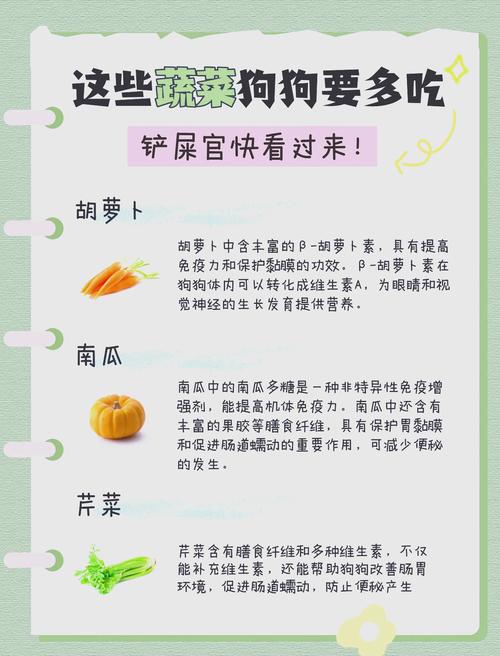 狗狗吃蔬菜好吗,狗狗吃蔬菜会长胖吗-第2张图片-后鲨宠物 狗狗吃蔬菜好吗,狗狗吃蔬菜会长胖吗-第2张图片-后鲨宠物