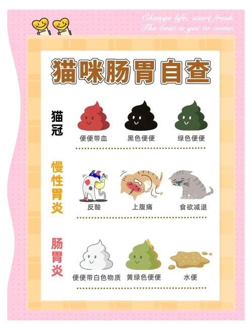 猫咪肠炎症状表现,猫咪肠炎症状表现有哪些-第2张图片-后鲨宠物 猫咪肠炎症状表现,猫咪肠炎症状表现有哪些-第2张图片-后鲨宠物