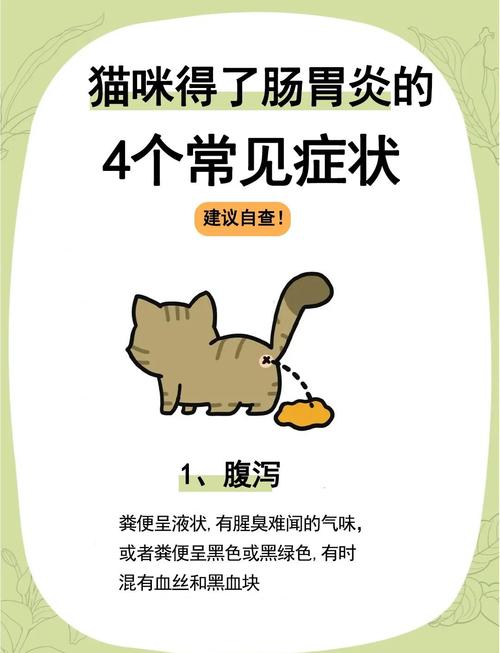 猫咪肠炎症状表现,猫咪肠炎症状表现有哪些-第5张图片-后鲨宠物 猫咪肠炎症状表现,猫咪肠炎症状表现有哪些-第5张图片-后鲨宠物