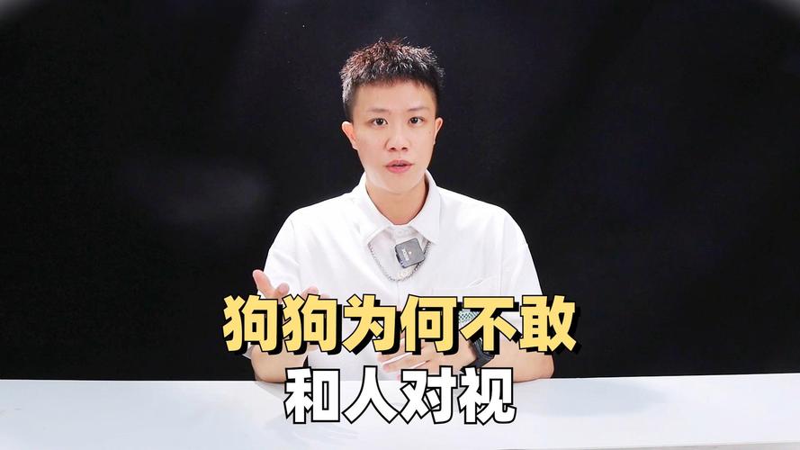 为什么不能和狗狗对视,为什么跟狗不能太亲密?-第2张图片-后鲨宠物 为什么不能和狗狗对视,为什么跟狗不能太亲密?-第2张图片-后鲨宠物