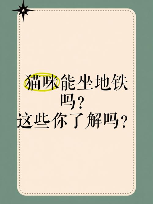 猫咪能上地铁吗_猫咪能上地铁吗武汉-第2张图片-后鲨宠物 猫咪能上地铁吗_猫咪能上地铁吗武汉-第2张图片-后鲨宠物