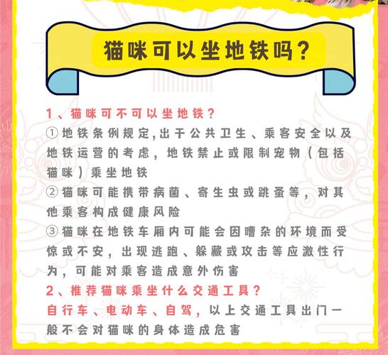猫咪能上地铁吗_猫咪能上地铁吗武汉-第6张图片-后鲨宠物 猫咪能上地铁吗_猫咪能上地铁吗武汉-第6张图片-后鲨宠物
