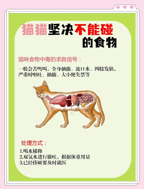 猫咪可以吃羊肉吗_猫能不能吃羊肉-第3张图片-后鲨宠物 猫咪可以吃羊肉吗_猫能不能吃羊肉-第3张图片-后鲨宠物