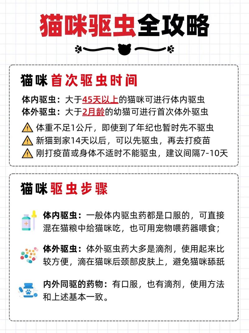 猫咪体内驱虫注意事项,猫咪体内驱虫效果?-第4张图片-后鲨宠物 猫咪体内驱虫注意事项,猫咪体内驱虫效果?-第4张图片-后鲨宠物