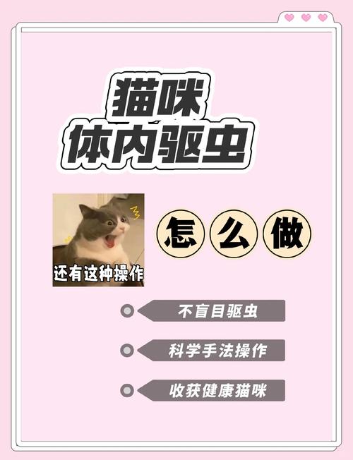 猫咪体内驱虫注意事项,猫咪体内驱虫效果?-第5张图片-后鲨宠物 猫咪体内驱虫注意事项,猫咪体内驱虫效果?-第5张图片-后鲨宠物