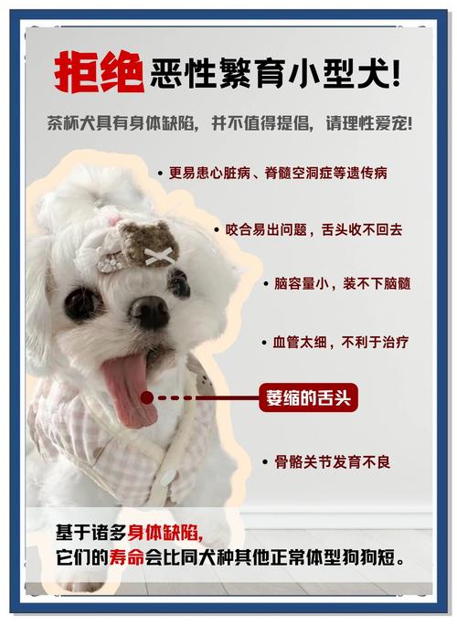 狗狗能喝茶叶水吗_狗狗可以喝茶水吗?-第3张图片-后鲨宠物 狗狗能喝茶叶水吗_狗狗可以喝茶水吗?-第3张图片-后鲨宠物