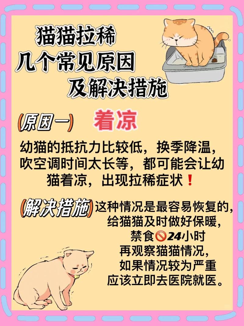  猫咪拉肚子了怎么办，小猫拉肚子怎么办吃什么药-第2张图片-后鲨宠物