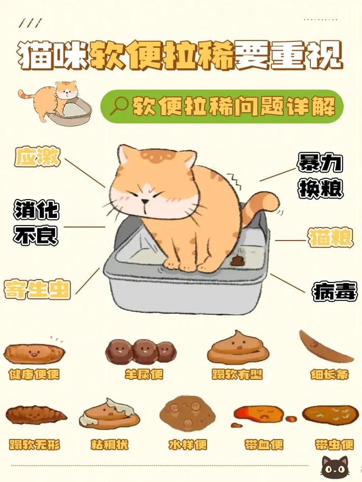  猫咪拉肚子了怎么办，小猫拉肚子怎么办吃什么药-第3张图片-后鲨宠物