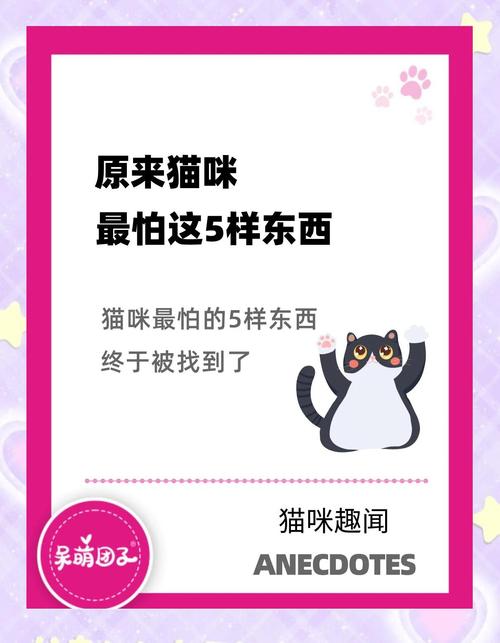 猫咪怕什么气味,猫咪怕什么气味和东西-第2张图片-后鲨宠物 猫咪怕什么气味,猫咪怕什么气味和东西-第2张图片-后鲨宠物