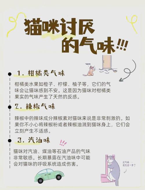 猫咪怕什么气味,猫咪怕什么气味和东西-第3张图片-后鲨宠物 猫咪怕什么气味,猫咪怕什么气味和东西-第3张图片-后鲨宠物