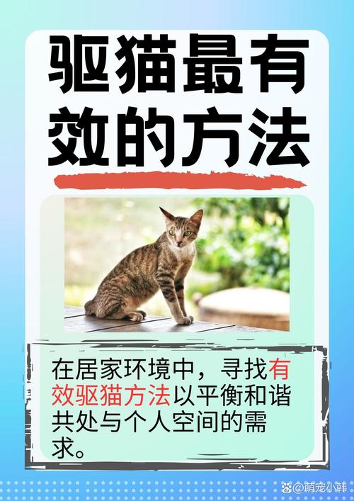 猫咪怕什么气味,猫咪怕什么气味和东西-第4张图片-后鲨宠物 猫咪怕什么气味,猫咪怕什么气味和东西-第4张图片-后鲨宠物